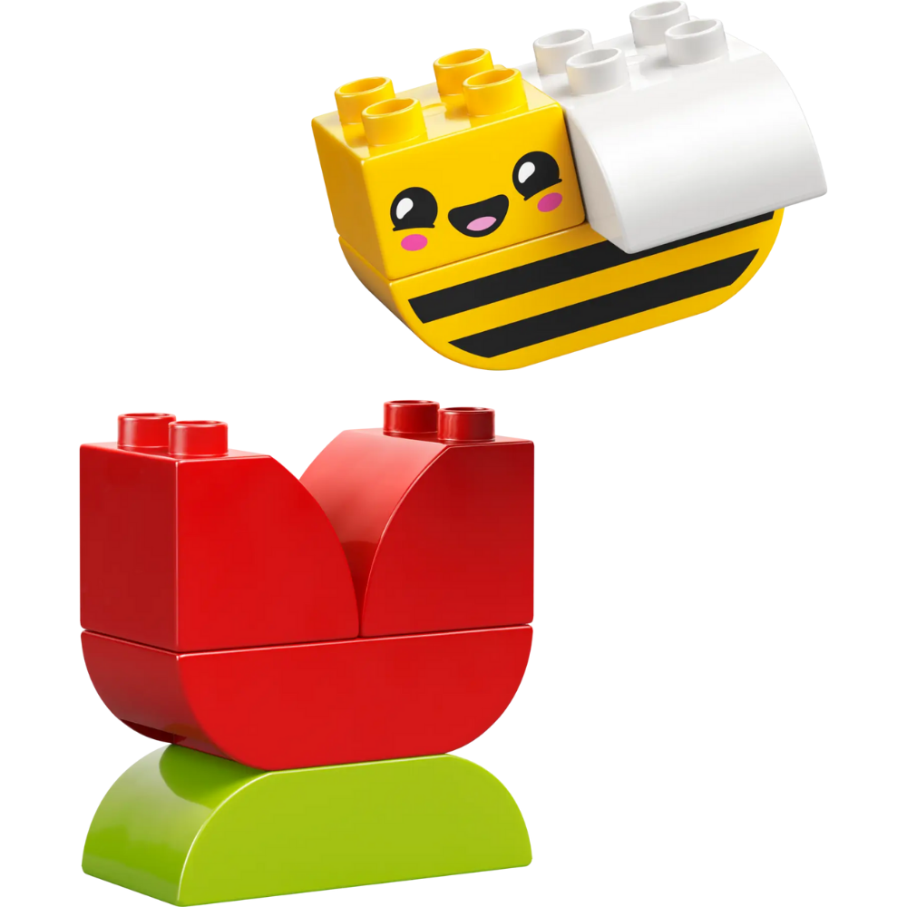 Meine erste Blume mit Biene