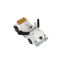 Snoopy-Roadster