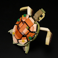 Schildkrötenriff